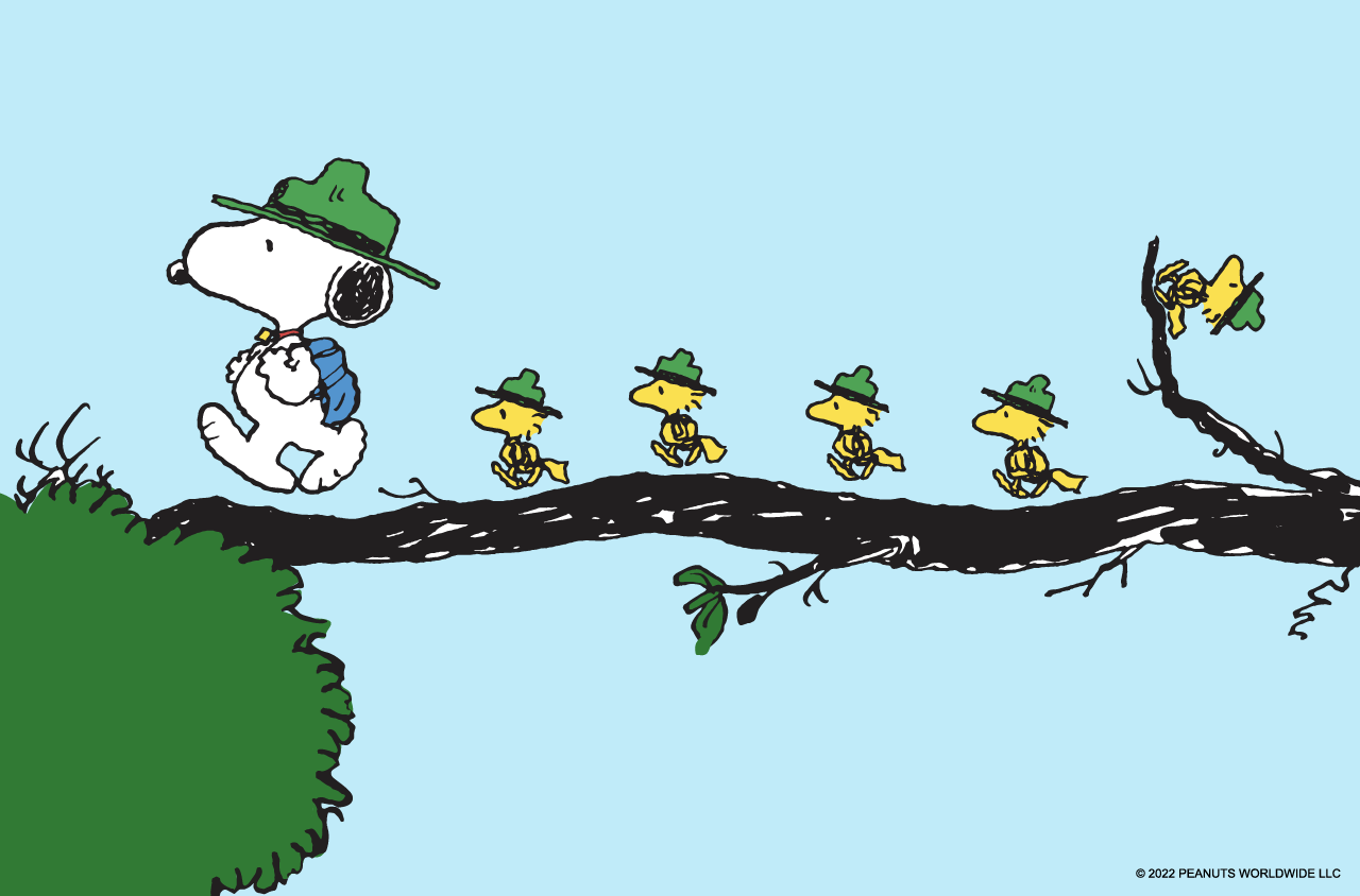 Every State’s Favorite Charlie Brown Movie & Character